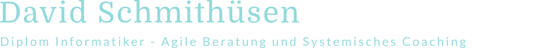 David Schmithüsen - Agile Beratung und Systemisches Coaching